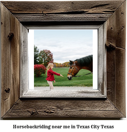 horseback riding near me in Texas City, Texas